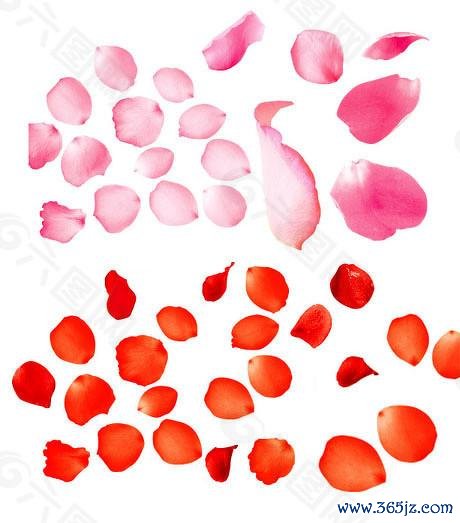 专业股票配资平台 上交所修订科创板IPO配售机制，网下打新将出现哪些新变化？