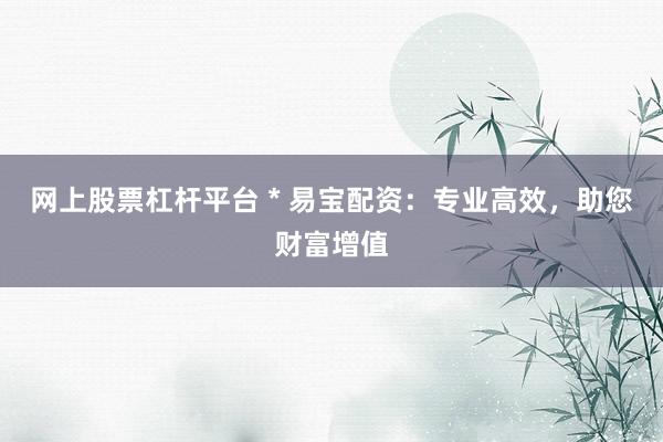 网上股票杠杆平台 * 易宝配资：专业高效，助您财富增值