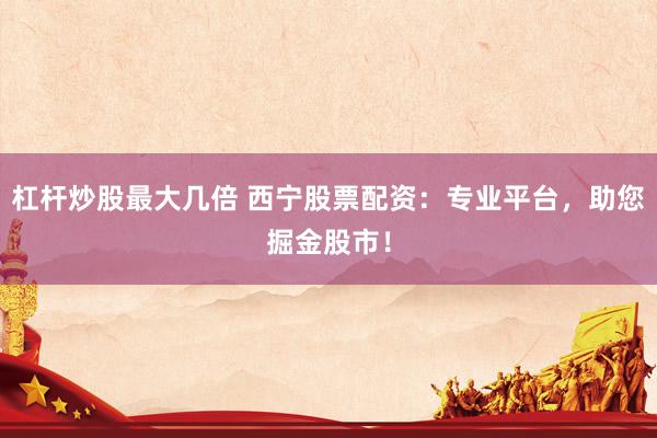 杠杆炒股最大几倍 西宁股票配资：专业平台，助您掘金股市！