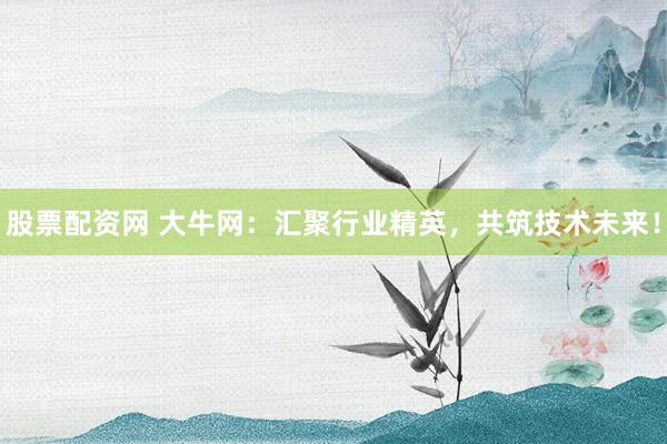 股票配资网 大牛网：汇聚行业精英，共筑技术未来！