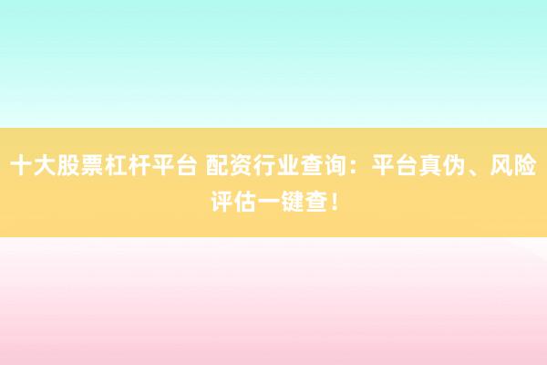 十大股票杠杆平台 配资行业查询：平台真伪、风险评估一键查！