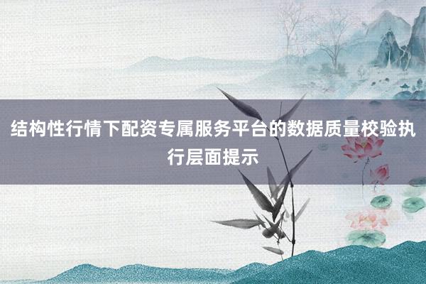 结构性行情下配资专属服务平台的数据质量校验执行层面提示