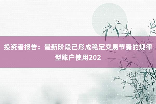 投资者报告：最新阶段已形成稳定交易节奏的规律型账户使用202