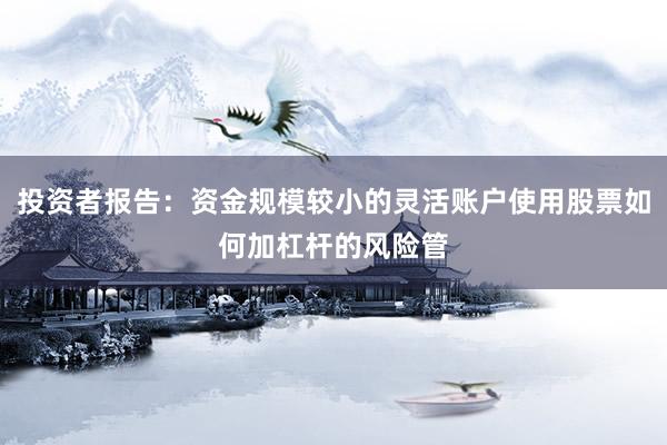 投资者报告：资金规模较小的灵活账户使用股票如何加杠杆的风险管