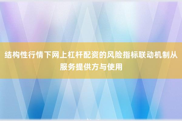 结构性行情下网上杠杆配资的风险指标联动机制从服务提供方与使用