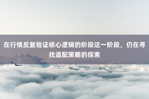 在行情反复验证核心逻辑的阶段这一阶段，仍在寻找适配策略的探索