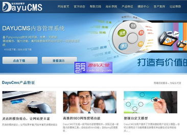 dayucms网站系统源码 v1.525